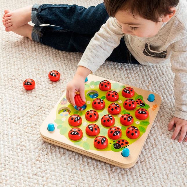 Image of Ladybug's Garden Memory Game
